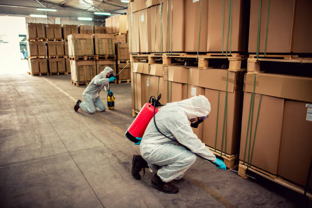Best Bed Bug Extermination  in Roosevelt Park, MI
