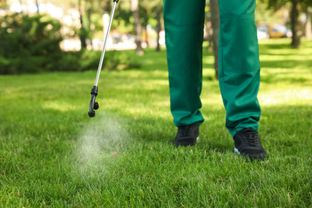 Best Flea Control Services  in Roosevelt Park, MI