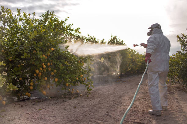 Best Local Pest Control Services  in Roosevelt Park, MI