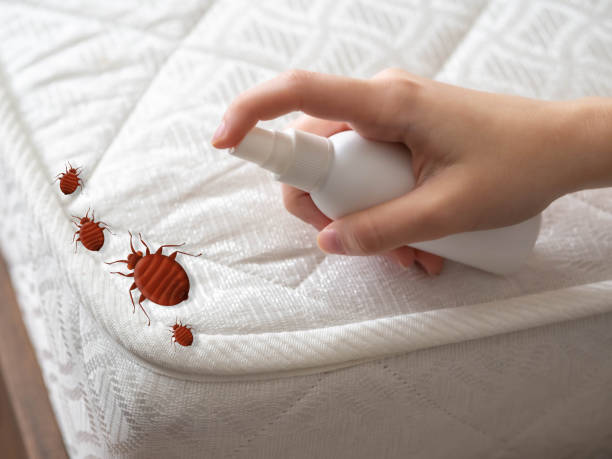 Best Affordable Pest Control Services  in Roosevelt Park, MI